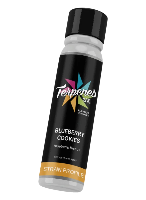 Blueberry Cookies